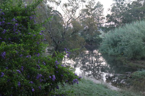 Serendipity On Allyn - Accommodation Bookings 7