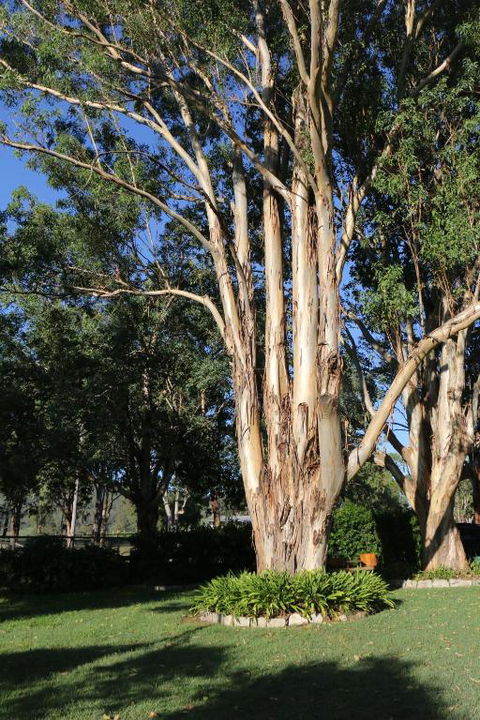 Serendipity On Allyn - Accommodation Bookings 5