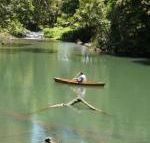 Figtree Getaway - Accommodation Bookings