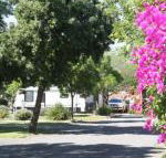 BIG 4 Hay - Accommodation Bookings