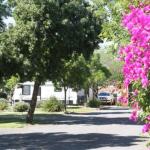 BIG 4 Hay - Accommodation Bookings 0