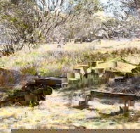 Wrens View - Accommodation Bookings