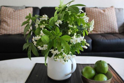 Centrepoint Units Heidelberg - Accommodation Bookings 2