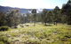 Yabbaloumba Retreat - thumb 2