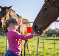 Freshwater Creek Cottages and Farm Stay - Accommodation Bookings