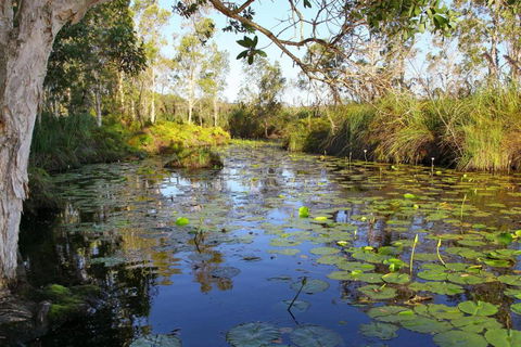 Salamander Bay Bed & Breakfast - Accommodation Bookings 3