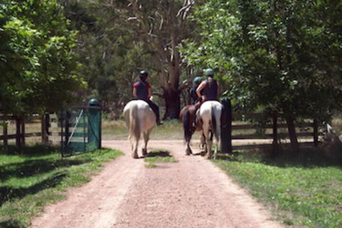 Halls On Falls Homestead - Accommodation Bookings 3