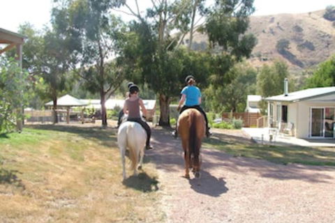 Halls On Falls Homestead - Accommodation Bookings 1