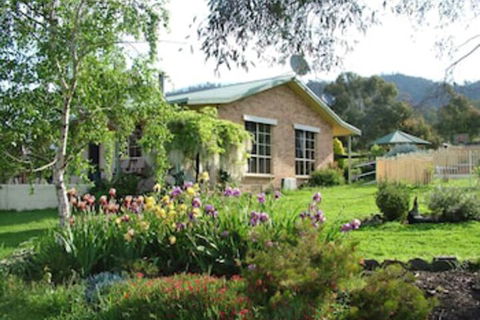 Halls On Falls Homestead - Accommodation Bookings 0