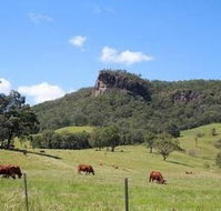 Rosevale House - Accommodation Bookings