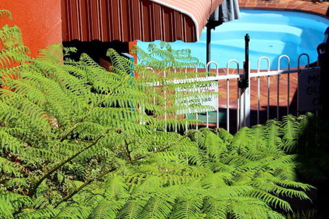 Matilda Motel - Accommodation Bookings 3