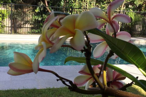 Arabella Garden Inn Motel - Accommodation Bookings 2