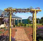 Lavendale Farmstay  Cottages York