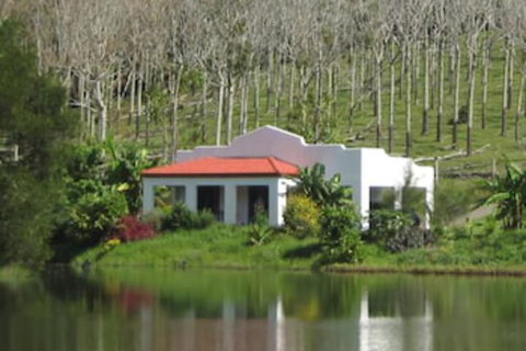 Spicy Oasis - Accommodation Bookings 5