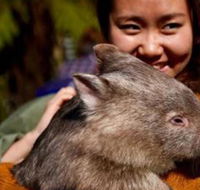 Fauna Australia Wildlife Retreat - Accommodation Bookings