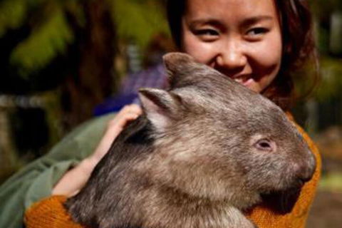 Fauna Australia Wildlife Retreat - Accommodation Bookings 0