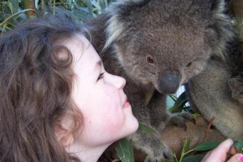 Fauna Australia Wildlife Retreat - Accommodation Bookings 3