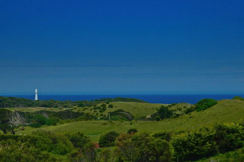 Island Breeze Motel - Accommodation Bookings 2
