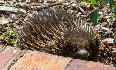 Flowerdale Estate - Accommodation Bookings 3