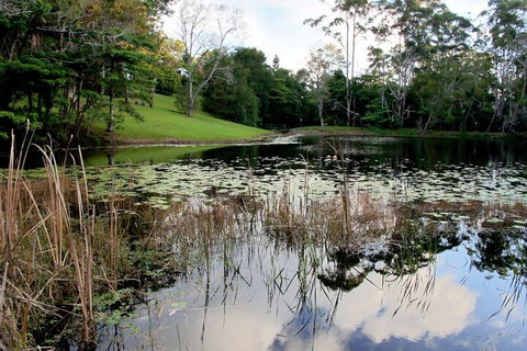 Montville Country Cabins - Accommodation Bookings 2