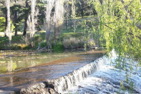 Avocados Accommodation - Accommodation Bookings 0