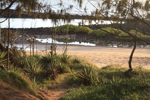 Sandcastles On The Beach Bargara - Accommodation Bookings 3