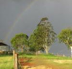CBR Equine Cottage - Accommodation Bookings