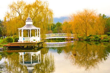 Lakeside Cottage - Accommodation Bookings 5