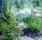Old Miners Cottages Bed  Breakfast - Accommodation Bookings