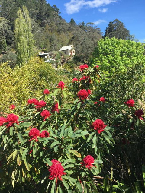 Stringers Cottage - Accommodation Bookings 1