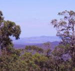 Ravensbourne Escape Cedar Lodge - Accommodation Bookings