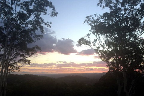 Phoenix Eumundi Bed & Breakfast - Accommodation Bookings 1