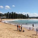 Avoca Beach Cape Cottage - Accommodation Bookings 1