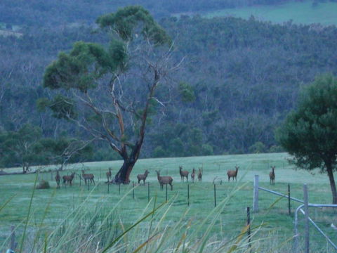 Hawksview At Mafeking - Accommodation Bookings 3