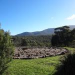 Hawksview At Mafeking - Accommodation Bookings 0