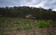 Sancerre Estate - thumb 6