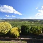 Sancerre Estate - Accommodation Bookings 0