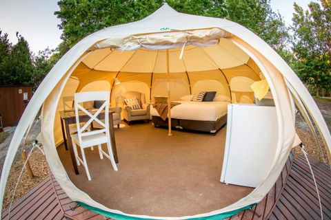 BIG4 Yarra Valley Park Lane Holiday Park - Accommodation Bookings 5