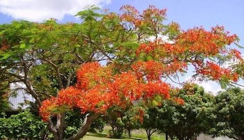 Chatsworth QLD Accommodation Bookings