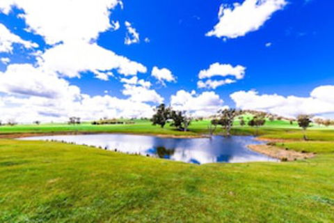 Hillview Farmstay - Accommodation Bookings 0