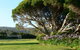 Spring Bay Villas - thumb 5
