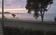 Whitsunday Waterfront Apartments - thumb 7