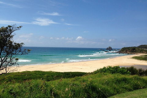 SURFBEACH HOLIDAY PARK - Accommodation Bookings 7