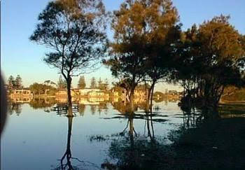 Terrigal Lagoon Bed & Breakfast - Accommodation Bookings 1