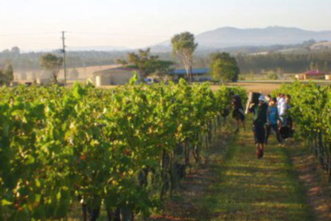 Broken View Estate - Accommodation Bookings 5