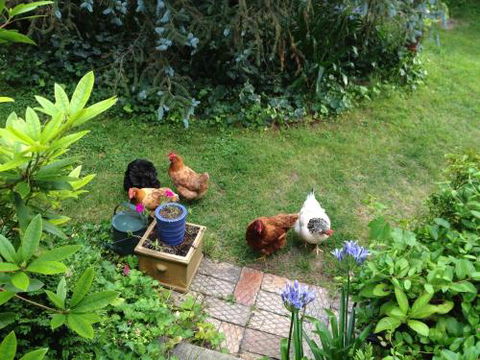 Southdown Cottage - Accommodation Bookings 3