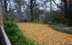 Southdown Cottage - thumb 4