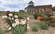 Aurora Manor Rooms - thumb 3