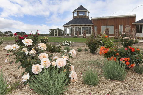 Aurora Manor Rooms - Accommodation Bookings 3