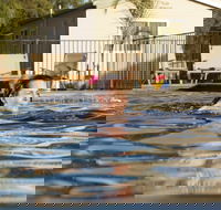 Riverside Cabin Park - Accommodation Bookings